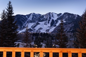 Stunning Aspen Mountain Views