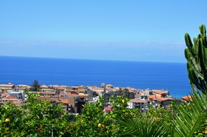 Vista da propriedade