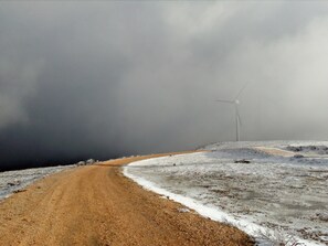 Oklassificerad bild, 3 av 14, knapp
