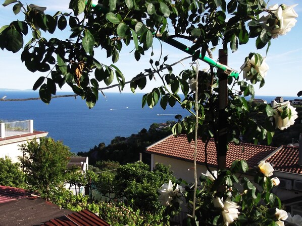 Blick von der Unterkunft