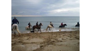 Plage