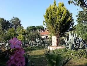 Villa Eden from the west side of the beautiful, mediterranean garden.