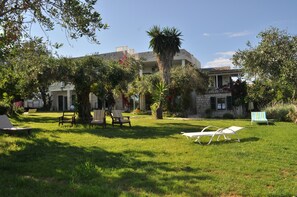In summer, the old olive trees donate pleasant shady spots.