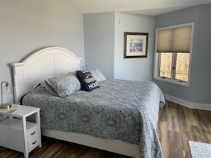 Master bedroom - king sized bed