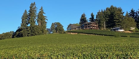 Guest House overlooking vineyards