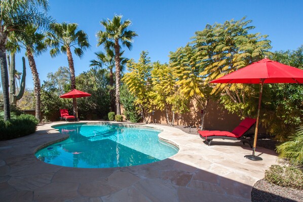 Gorgeous Backyard:  four new chaise lounges, dining space, and sun or shade