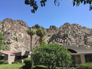 View from the backyard patio