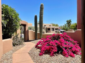 Enclosed courtyard at the front of the house 