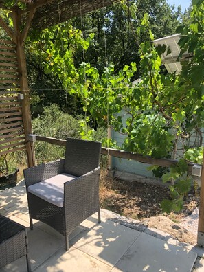 The small sitting area under a vine with a view of the garden