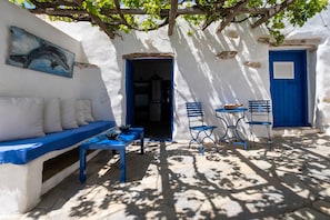 Main house patio shaded by grape vine pergola.