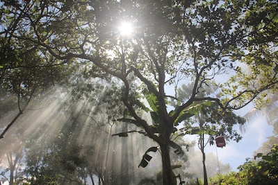 Chale rustico situado na beira do rio Ipitanga na natureza