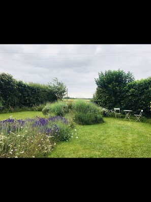 View to front garden, drive and front field