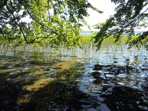 Järvi