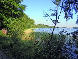 Terrain de l’hébergement 