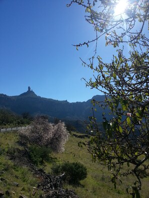 Terrenos do alojamento