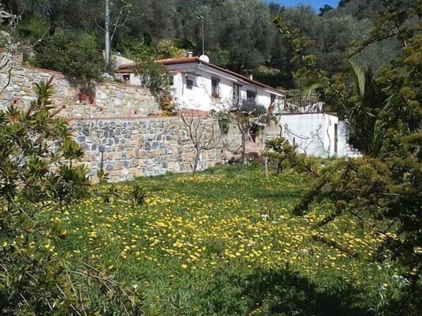 External view of the building. Picture 1