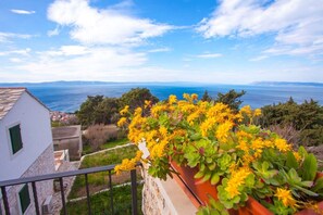 Vue depuis l’hébergement