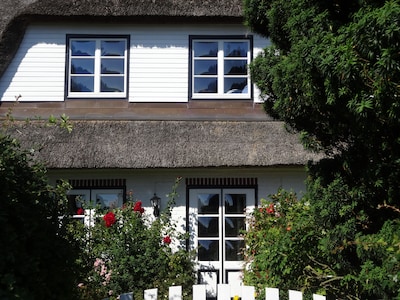 Holidays on the Baltic Sea under thatch with a lot of comfort; Fireplace, Wi-Fi free, 2 Smart TV.