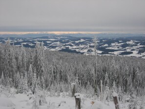 Blick vom Dreisessel-Berg mit Alpenphorizont