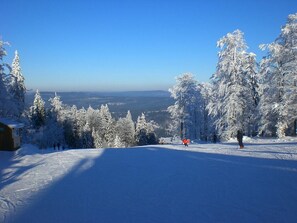 mit Blick in den Böhmerwald