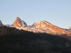 Picture 7