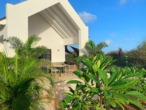 front view, lush tropical garden with lots of birds and other local wildlife.
