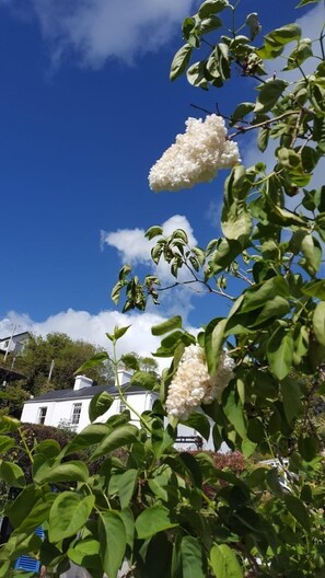 Boendeområde