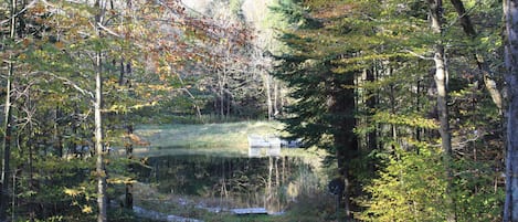 Pond view from the deck