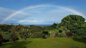 A beautiful rainbow over the ocean at Tranquil Palms.