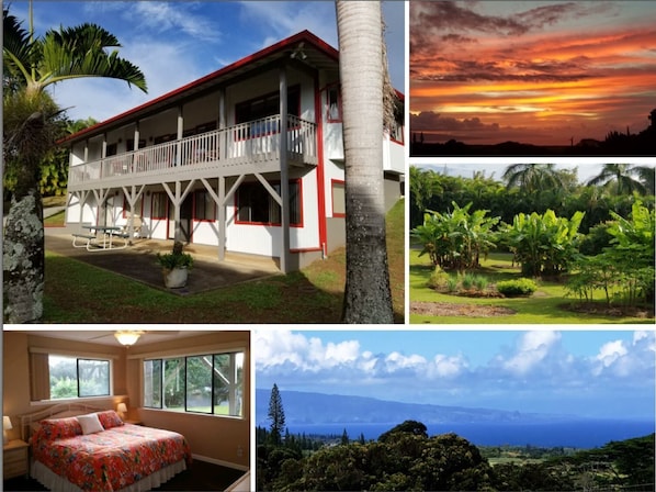 Areca Suite at Tranquil Palms - Coastal Ocean Views on 2 acres.  