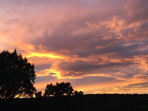 Oklassificerad bild, 4 av 16, knapp