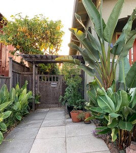 Sweet, Spacious Garden Apartment Rockridge/Temescal 