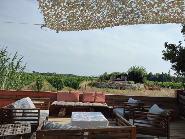 Coin salon Terrasse 1 vue vignes