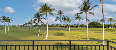 The swaying palm trees from the lanai welcomes you to Fairways Villa 104A.