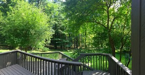 View from the dining room