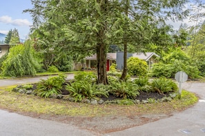 Cabin and Driveway 