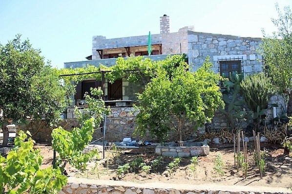 House view from the garden