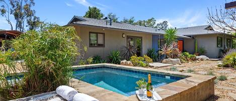 Plunge pool and garden entry