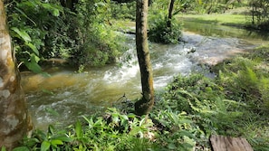 Maya Creek