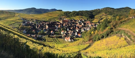 Niedermorschwihr, near Colmar, Riquewihr, Eguisheim, Kaysersberg.  
