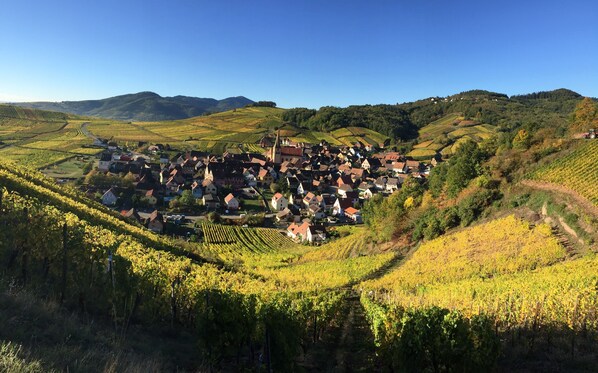 Niedermorschwihr, near Colmar, Riquewihr, Eguisheim, Kaysersberg.  
