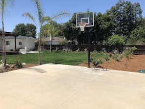 Basketball 1/2 court