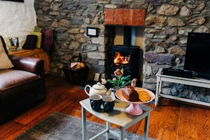 Log Burning Stove for cosy nights in 