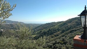 Views