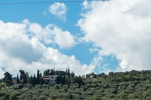 Villa surrounded by various trees & cultivations / farms