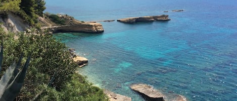 Kefalonia: Clear waters of the Ionian sea