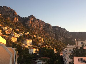 The View