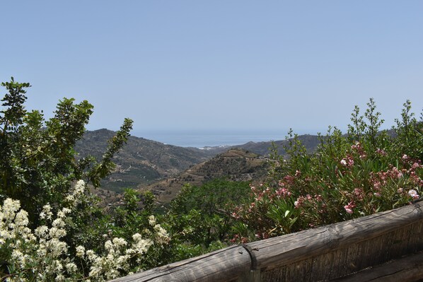 Vista da propriedade