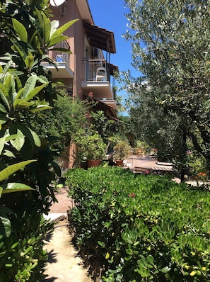 The hotel is surrounded by eucalyptus, palm trees and other greenery