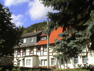 FEWO 3 with wellness oasis in the health resort Altenbrak Harz in half-timbered house -WLAN 